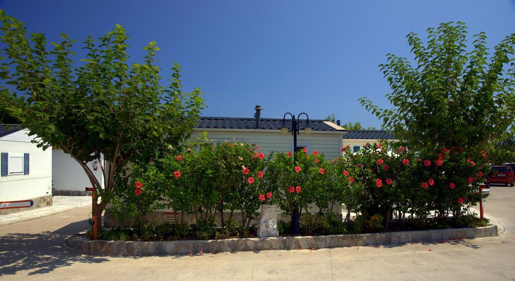 Camping Los Pinos Peñíscola Buitenkant foto