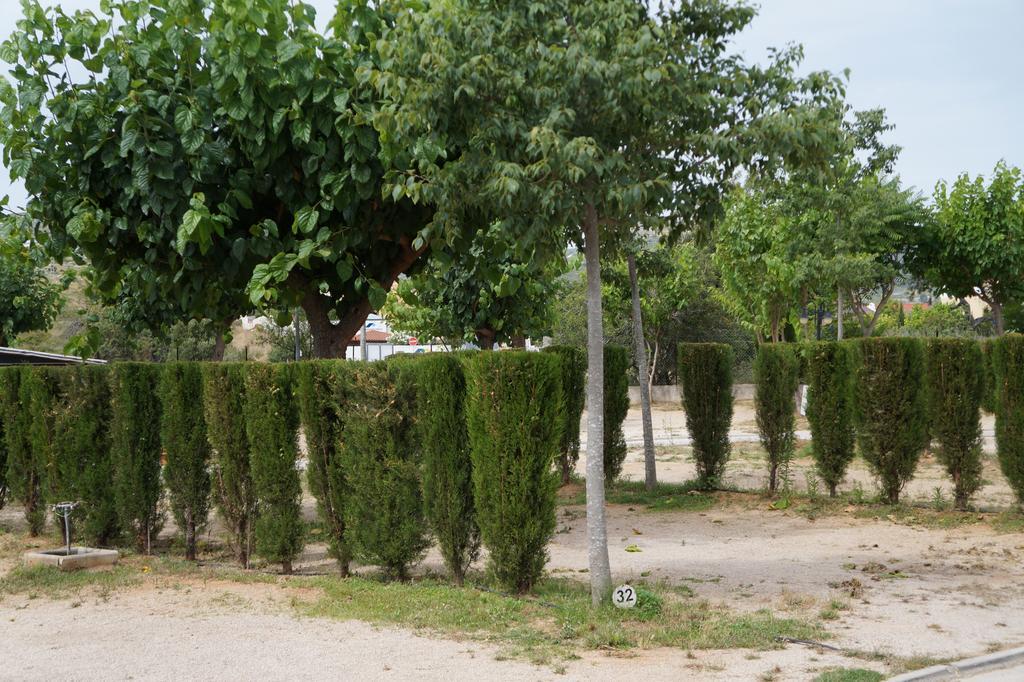 Camping Los Pinos Peñíscola Buitenkant foto
